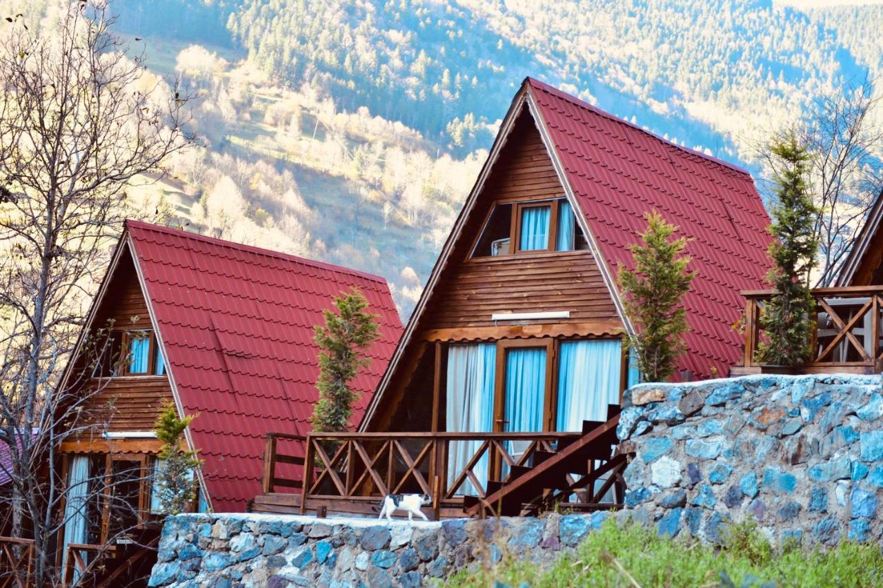 The Wooden House Uzungoel Uzungöl Exterior foto