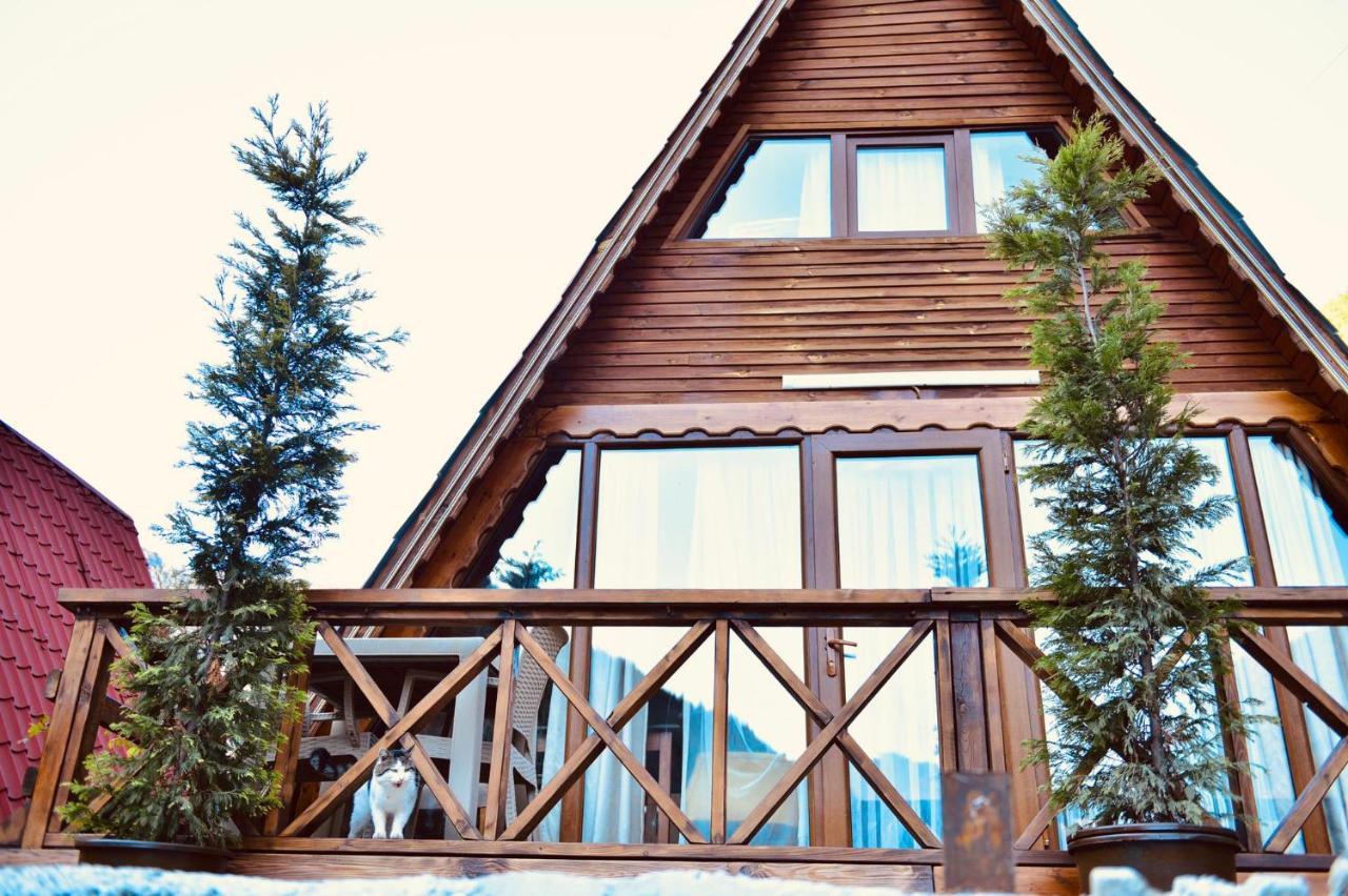 The Wooden House Uzungoel Uzungöl Exterior foto